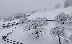Landidyll Am Thiersee