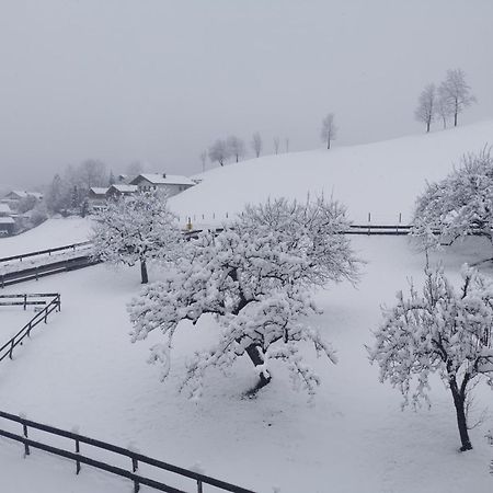 Landidyll Am Thiersee Buitenkant foto