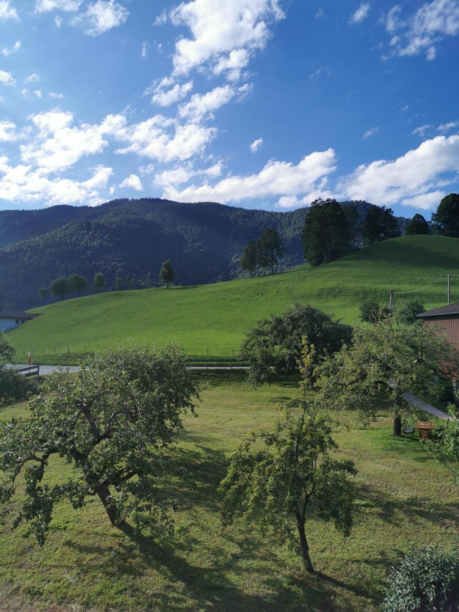 Landidyll Am Thiersee Buitenkant foto