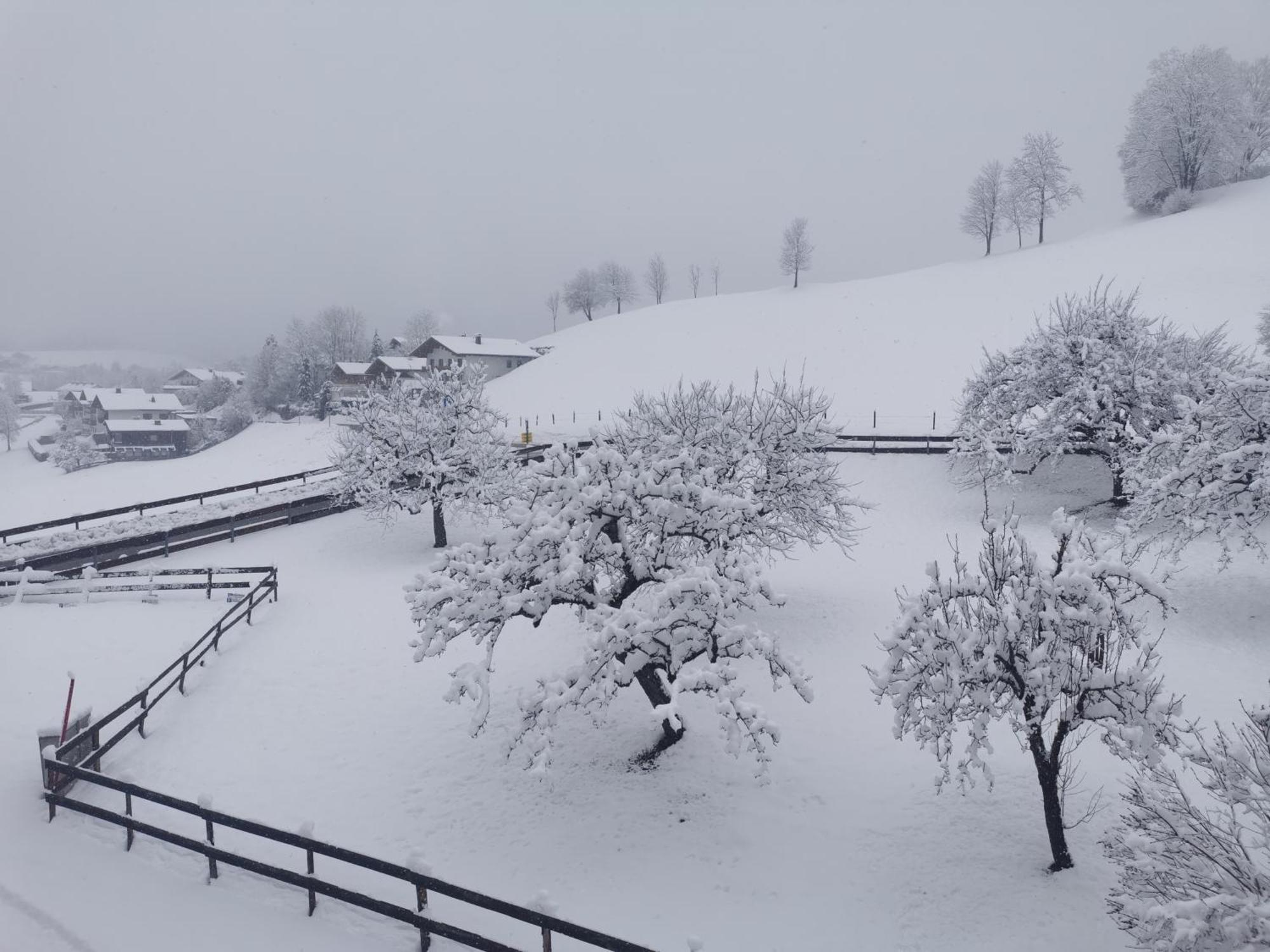 Landidyll Am Thiersee Buitenkant foto